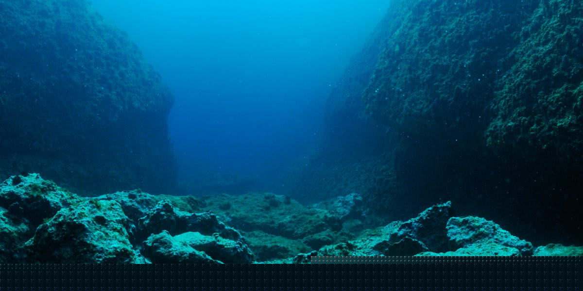 A New Predator Has Emerged From the Deepest, Darkest Part of the Ocean