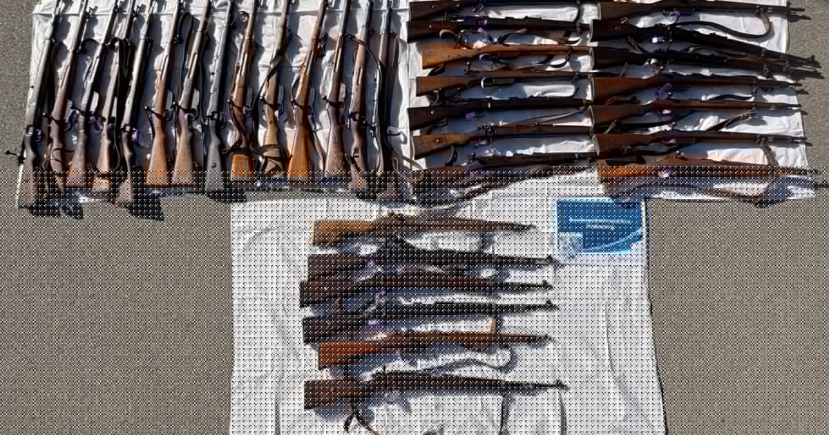Auch in Deutschland - NS-Zeichen auf Waffen: Schützen im Justiz-Visier