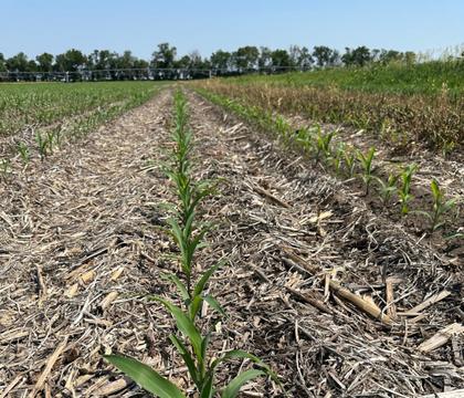 NDSU, University of Minnesota Extension to offer soil management conference
