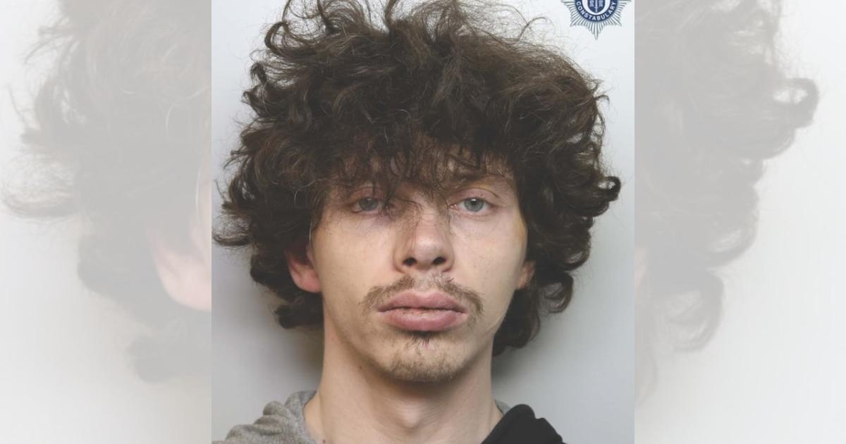 Police wanted appeal leads to sentencing of thief who interfered with parked cars