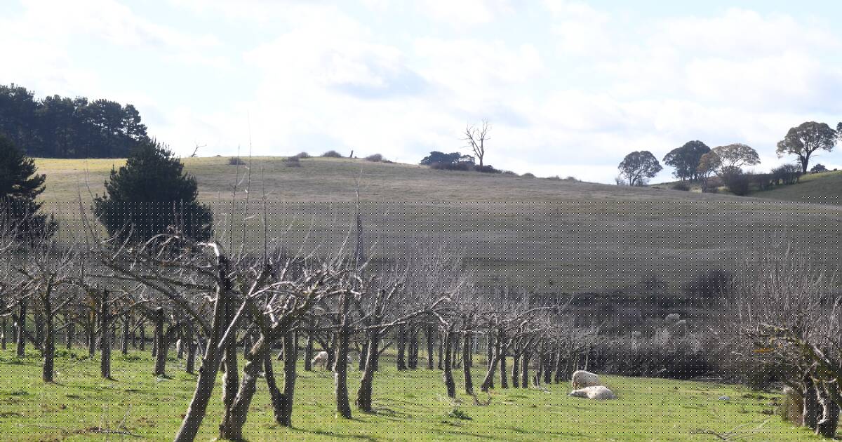 Solar farm developer claimed it would work with the community ... then rejected 18 ways to do so