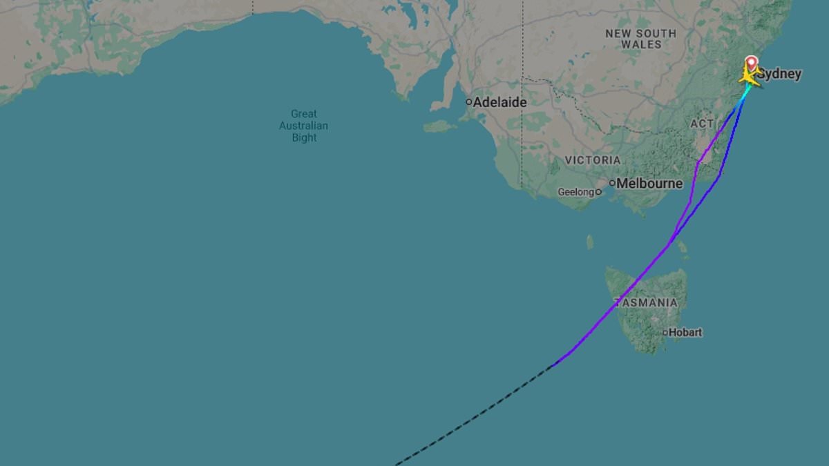 Qantas plane forced to make a sudden U-turn just four hours after takeoff from Sydney Airport