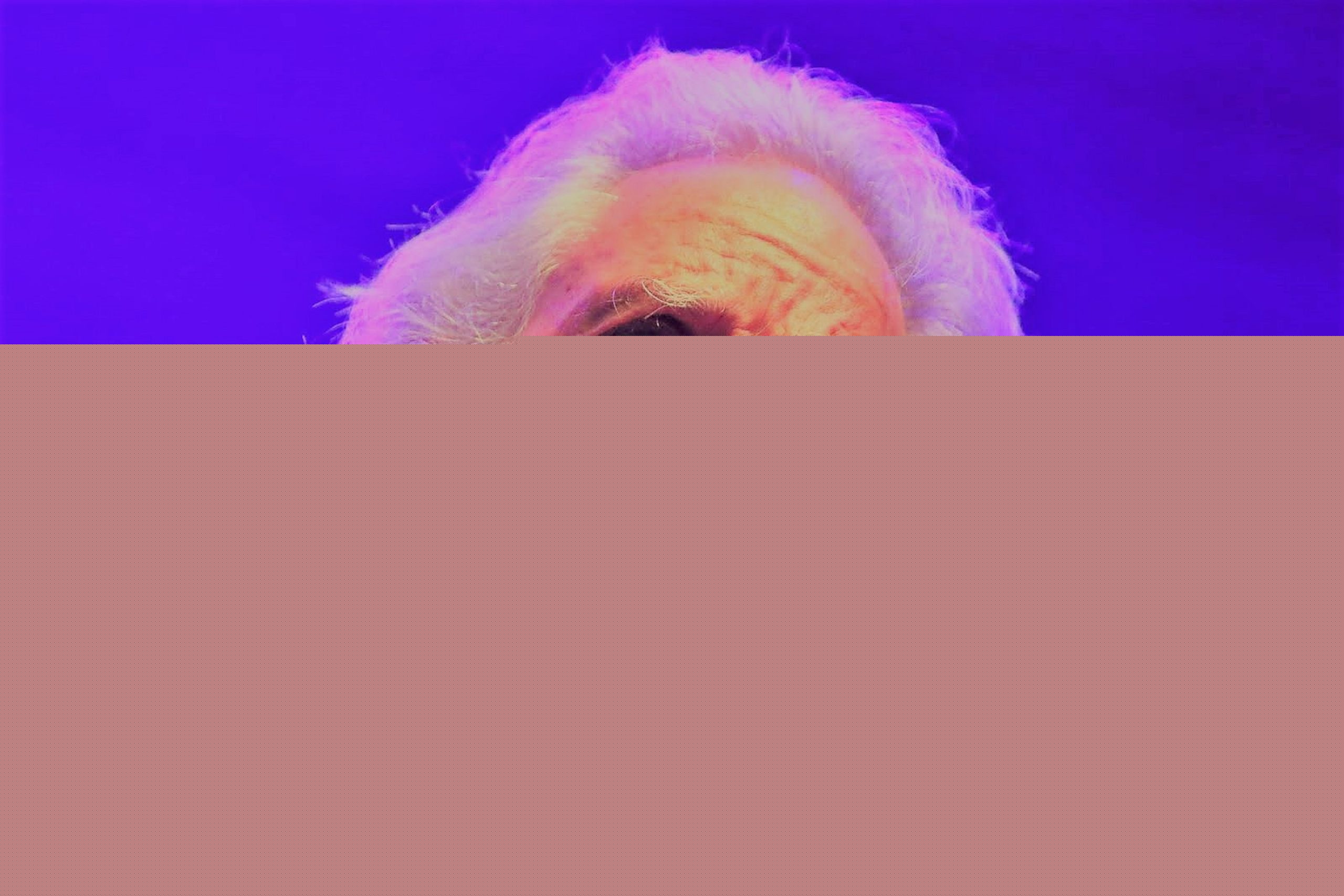 Lockn' Festival 2018 | Day 3 in Virginia