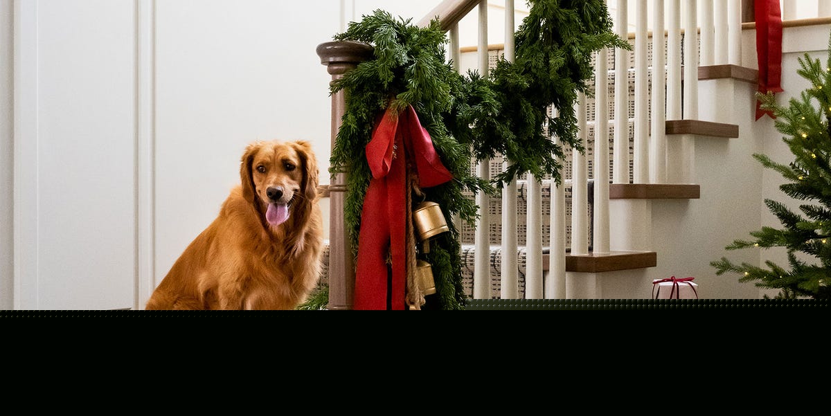 40 Elevated Ways To Dress Up Your Stairways For The Holidays