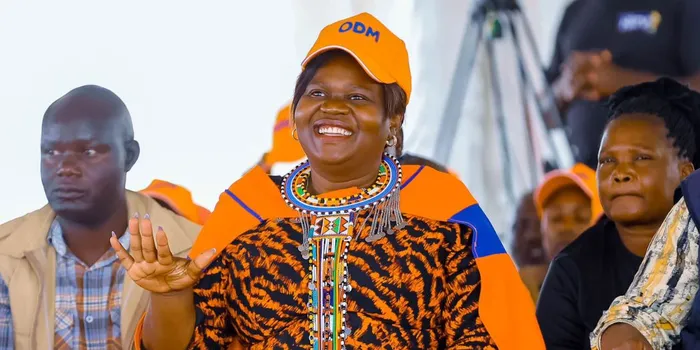 Danish Onyango Gets IEBC Green Light for Homa Bay Deputy Governor Job