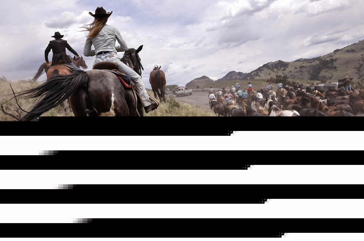 The 'Yellowstone Effect' Is Bigger Than Anyone Realized