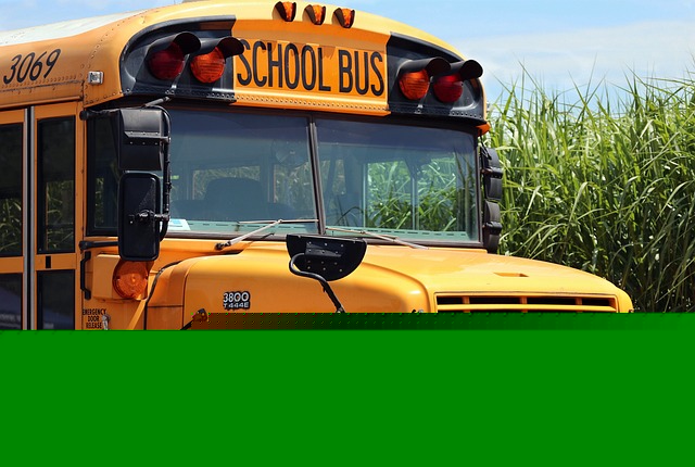 More than 6,000 stop-arm citations issued in last school year