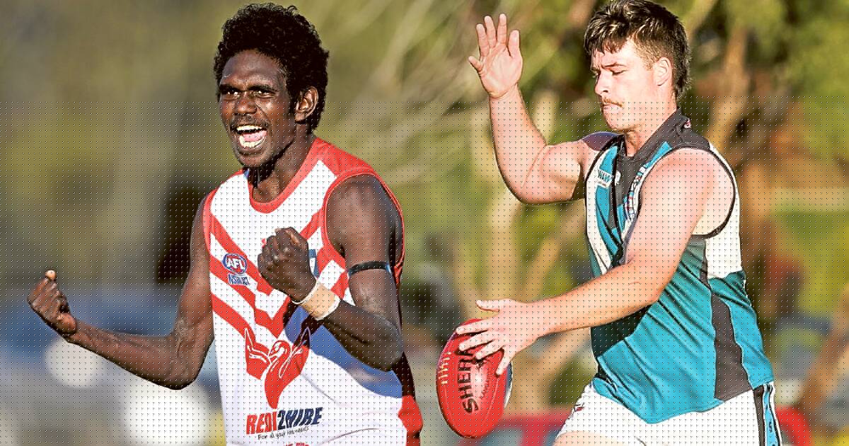 'Tippa is a freak': Beveridge heaps praise on Swampies young gun