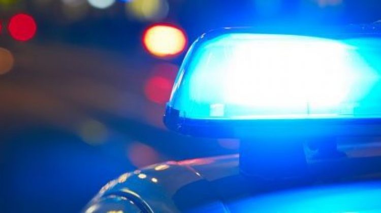 Police Logs: July 29, 2026
