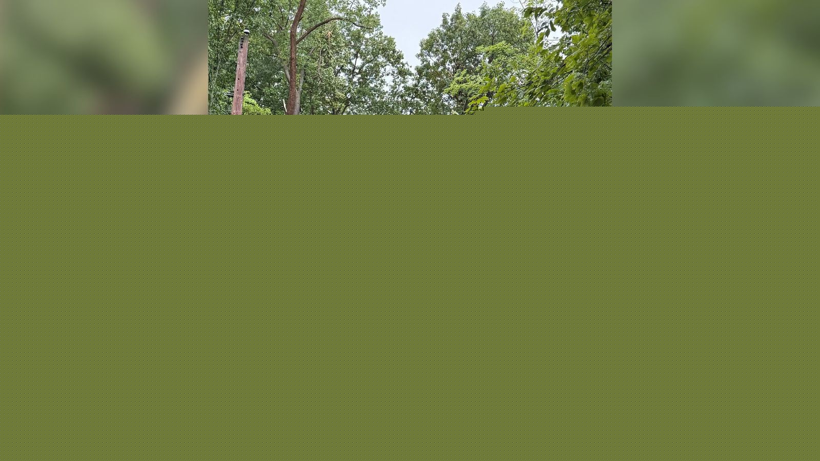 Indiana Dunes State Park remains without power following Monday storms