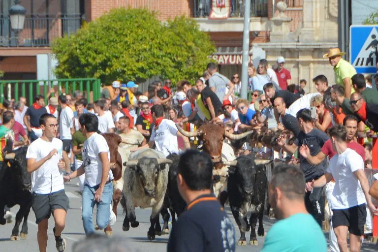 Marina Vela gana el V concurso de carteles de las fiestas patronales de Nava de la Asunción
