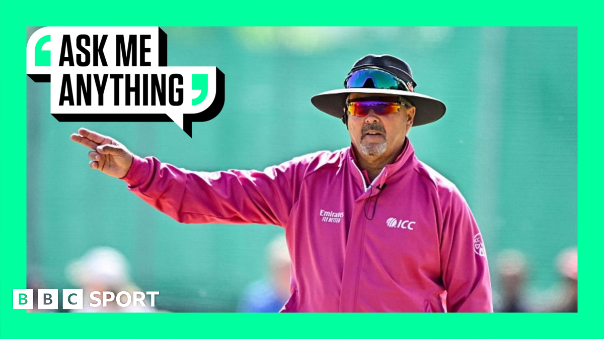 What is umpire's call in cricket?