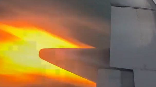 Vogelschlag in der Luft - Plötzlich steht das Triebwerk in Flammen