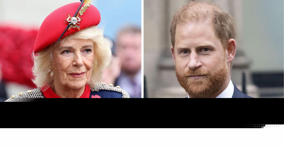 EXCLUSIVE: Queen Camilla Accused of Meddling in Prince Harry Reunion