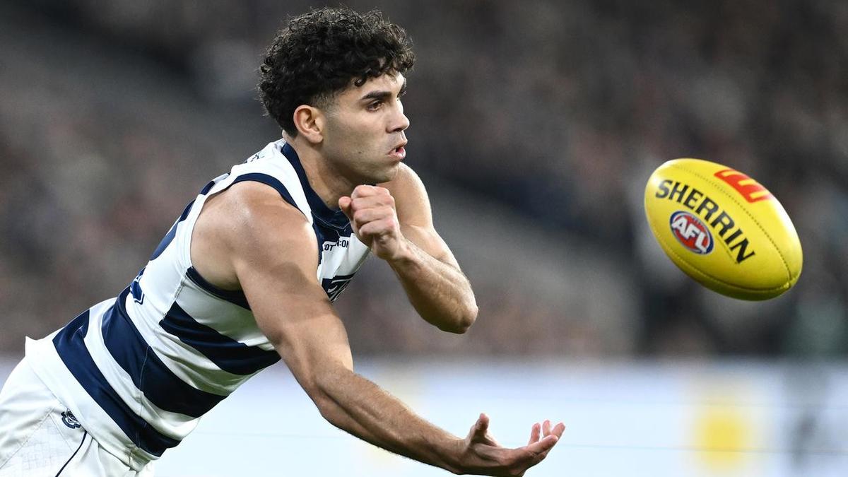 'Close to a miracle': Cats boss on Stengle's AFL career