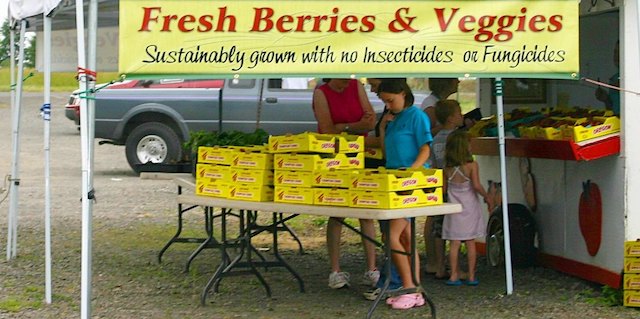 Farm regulators to aid Kotek’s ‘reset’ of farmstand rule-making