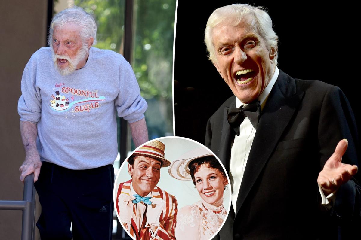 ‘Diminished’ Dick Van Dyke shares candid health update weeks before 100th birthday