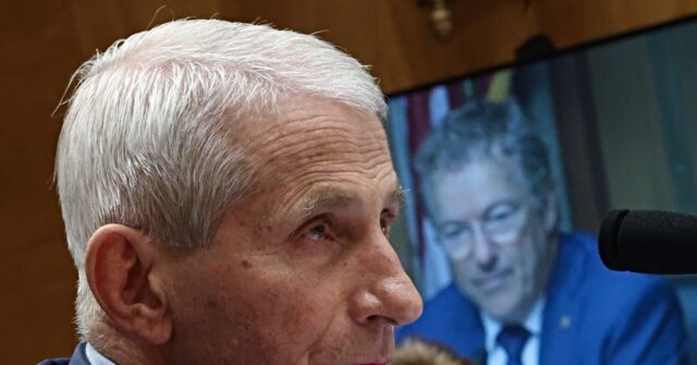 Rand Paul Sets Date to Vote to Hold Fauci in Contempt of Congress