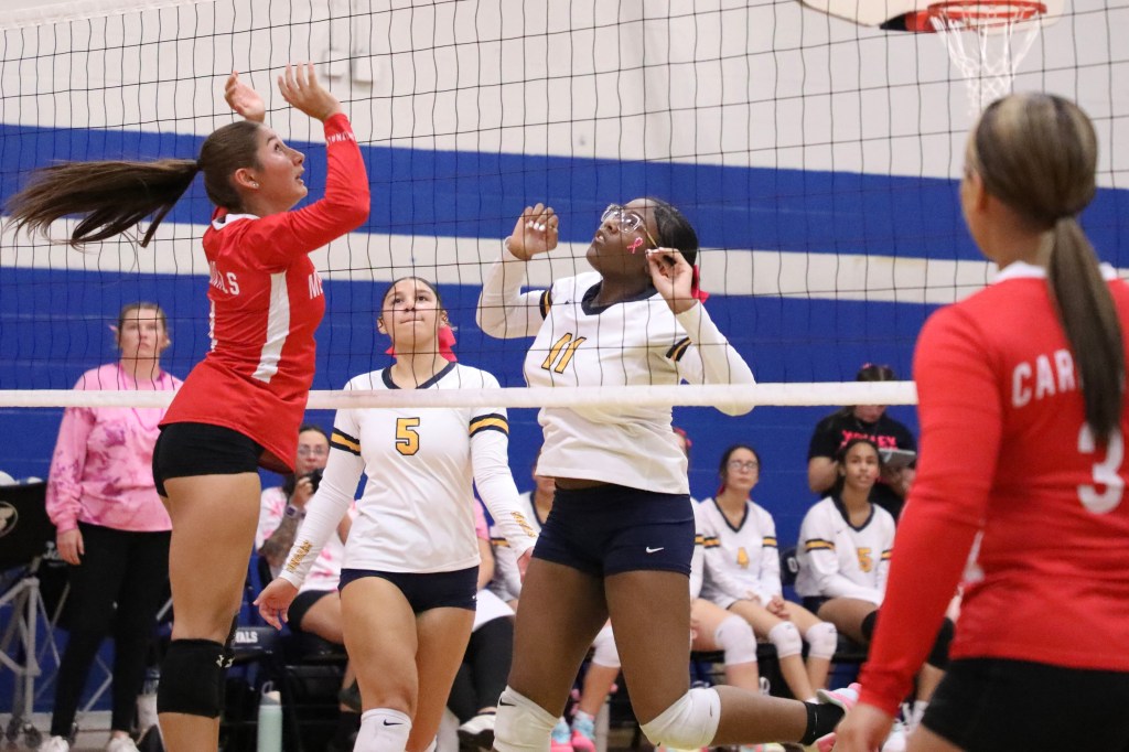PHOTOS: Girls Volleyball – Melvindale vs Dearborn Heights Annapolis
