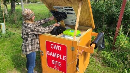DNR encourages Wisconsin hunters to test deer for CWD this season
