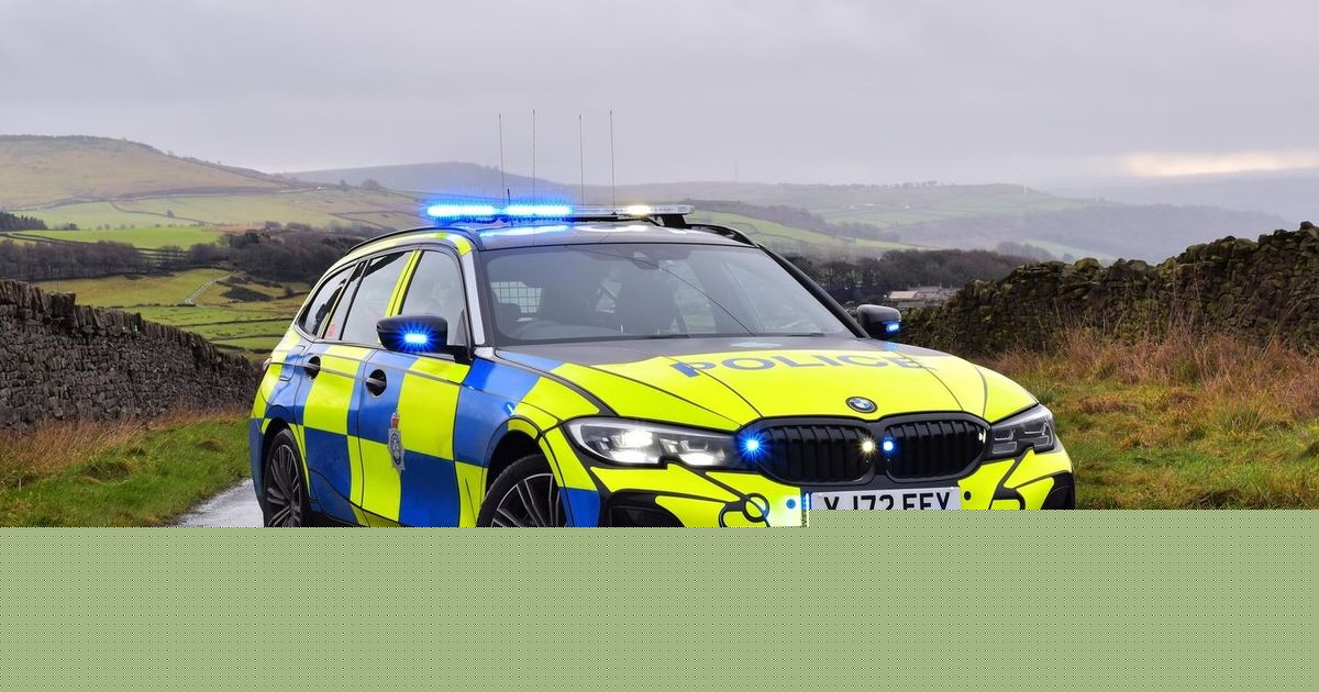 Girl, 10, killed by family XL Bully in caravan in North Yorkshire, inquest hears