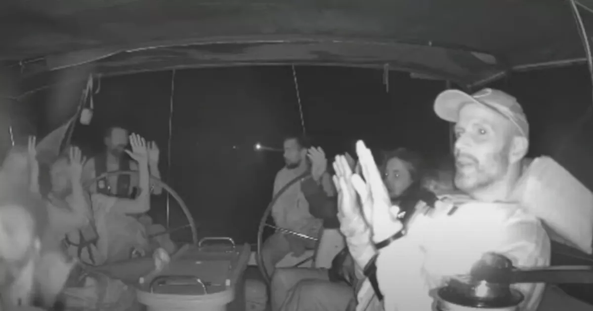 Senator Chris Andrews among those detained by Israel after flotilla intercepted