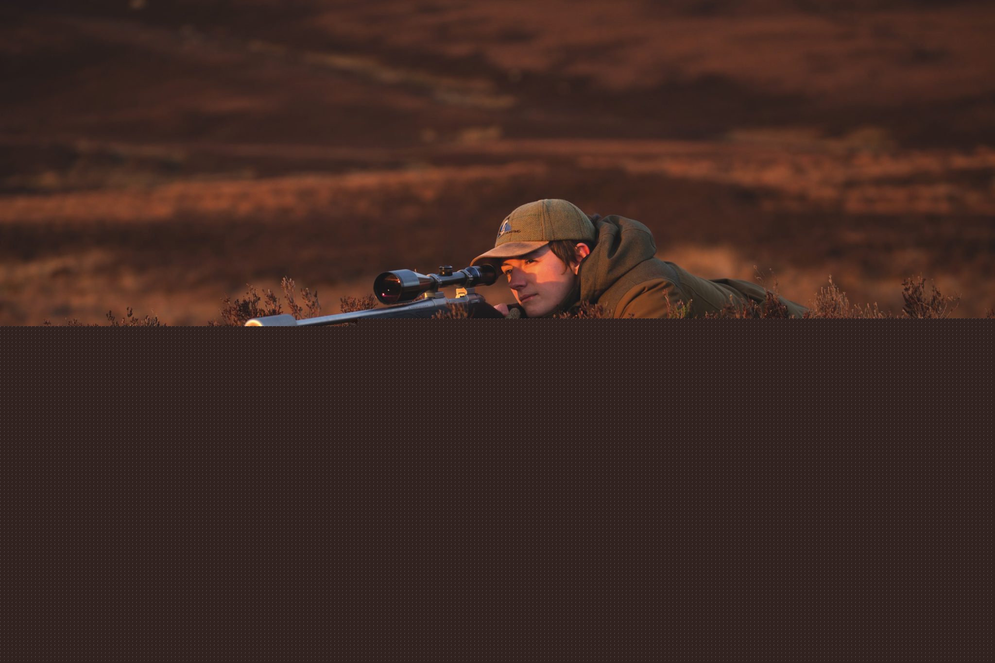 Calls grow for extended deer culling rights on Scottish moorland