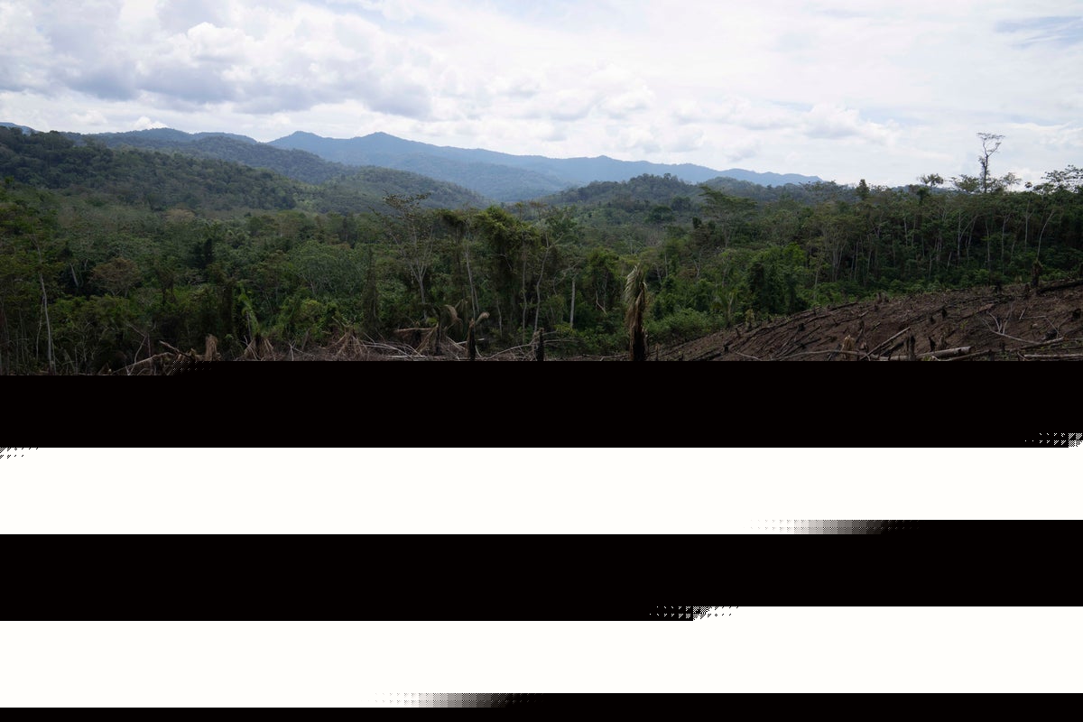 As Amazon's 'flying rivers' weaken with tree loss, scientists warn of worsening droughts