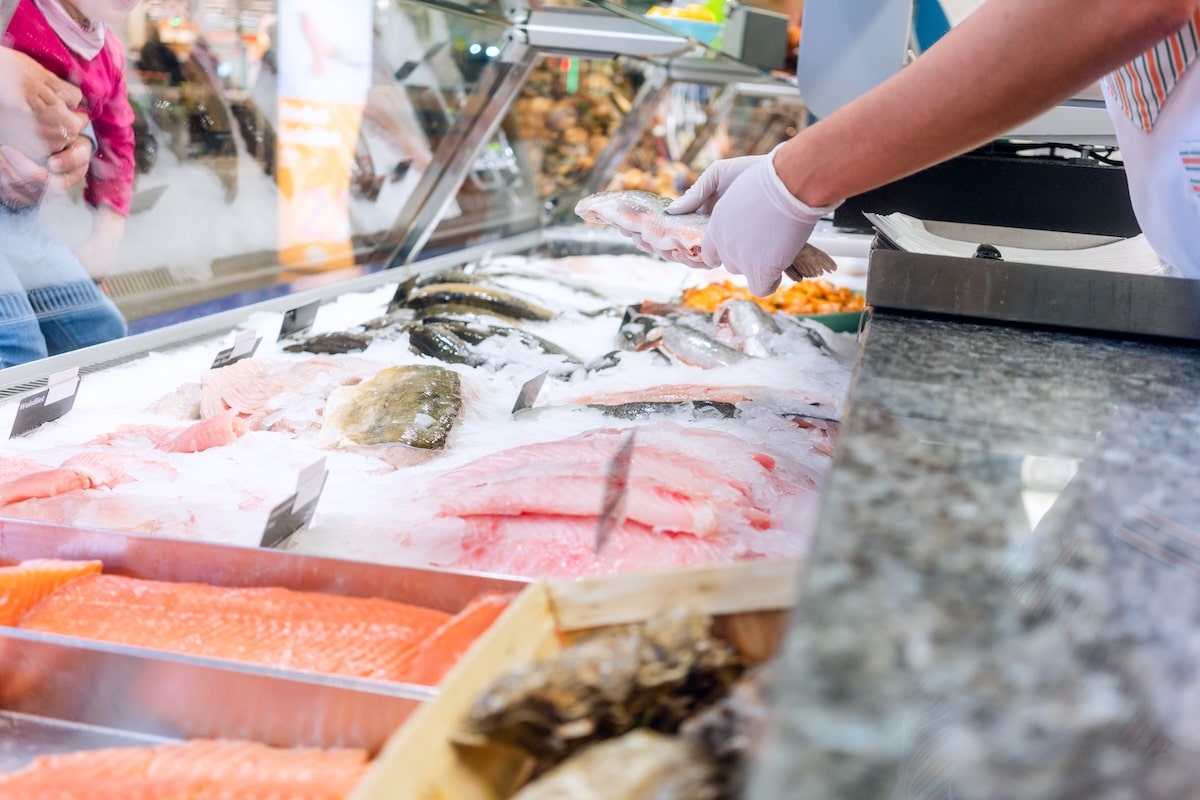 Sydney Fish Market attracts over 230,000 in one week