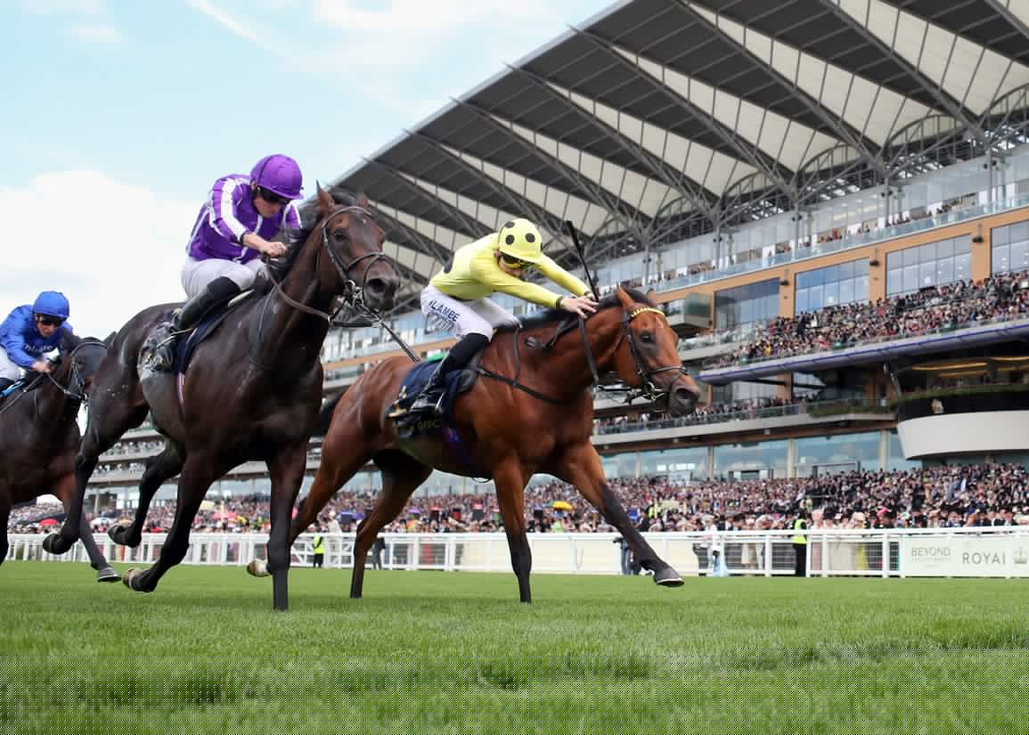 Boughey On ‘Horse Of A Lifetime’ Bow Echo And The Injury Which Curtailed His Career