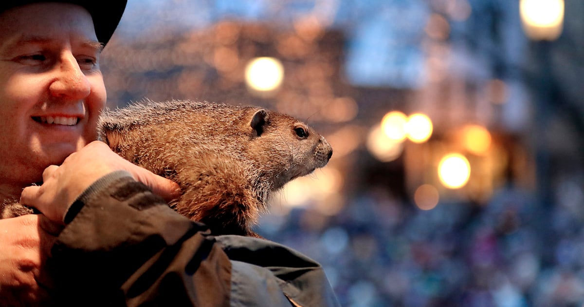 5 things to do: Halfway to Groundhog Day, Country Night at The Quarry, McHenry County Fair kicks off