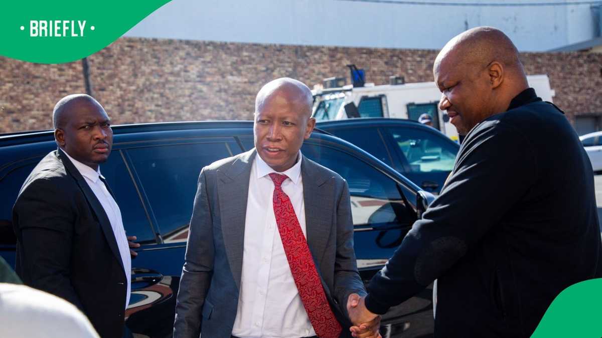 What the EFF President Julius Malema said after he was found guilty