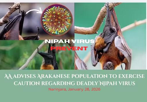 AA advises Arakanese population to exercise caution regarding deadly Nipah virus