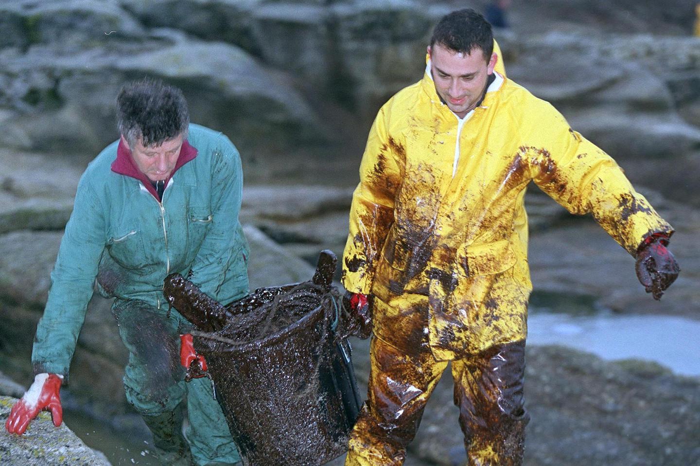 Des oiseaux souillés par du pétrole qui pourrait provenir de l’« Erika », échoué en 1999, retrouvés sur des plages du Finistère