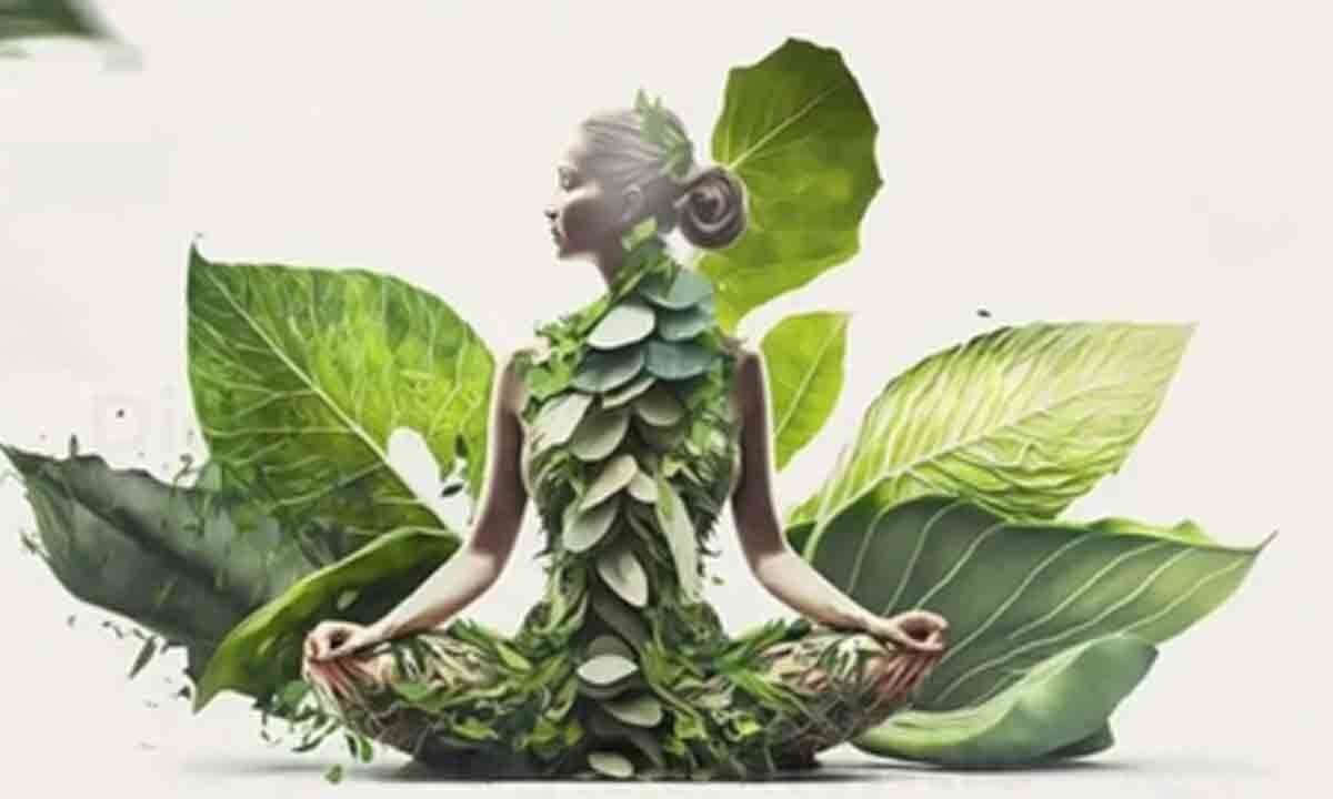 10th National Ayurveda Day: Ancient medical tradition can help build healthy society