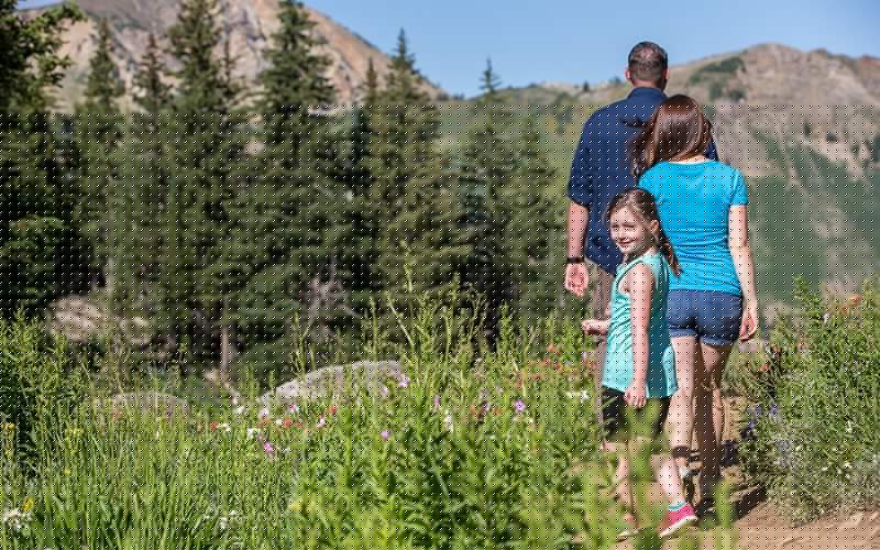 6 Family Hikes for Summer