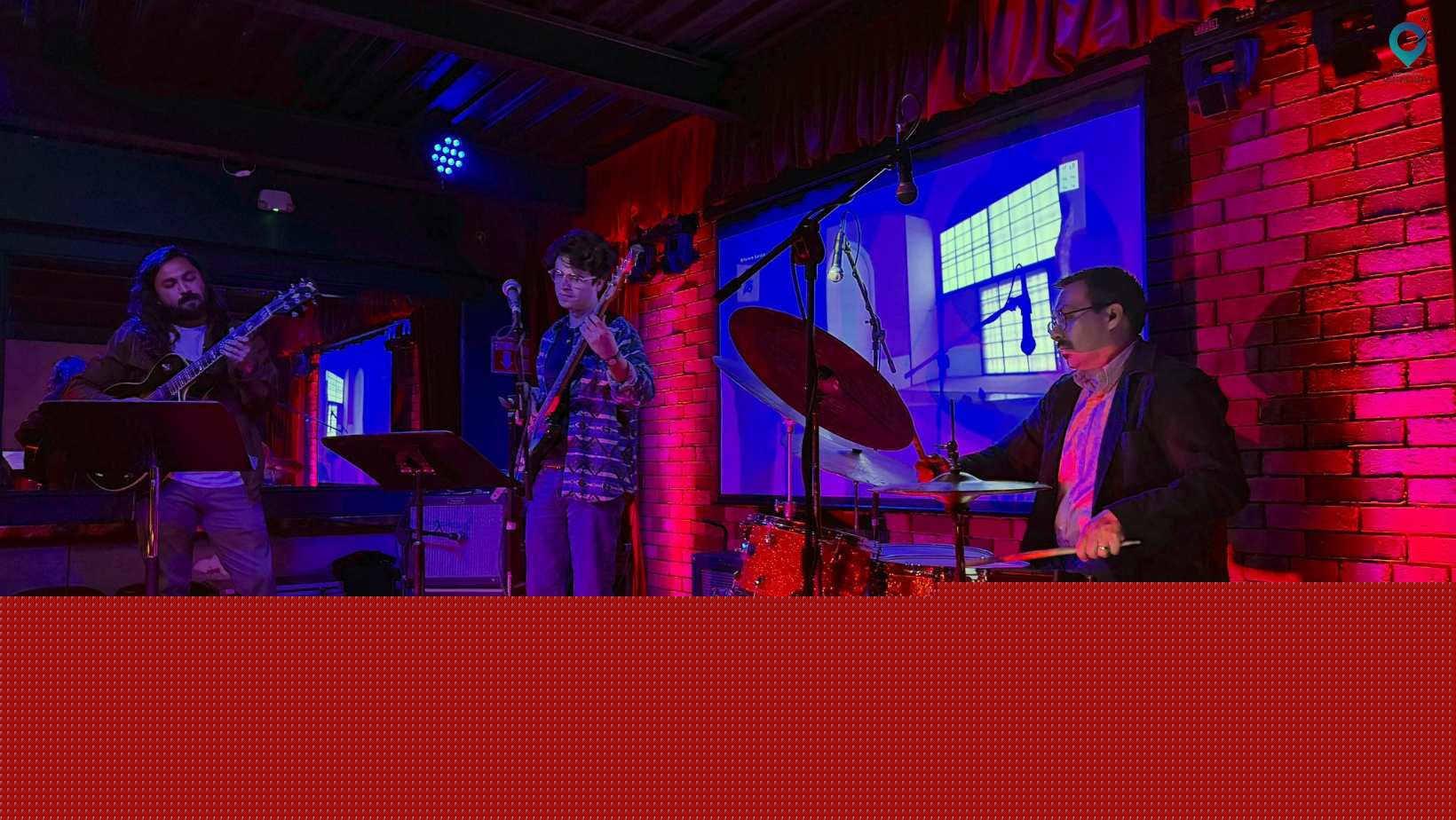 What to Expect from a Jazz Tour: Real Reviews & Insider Advice