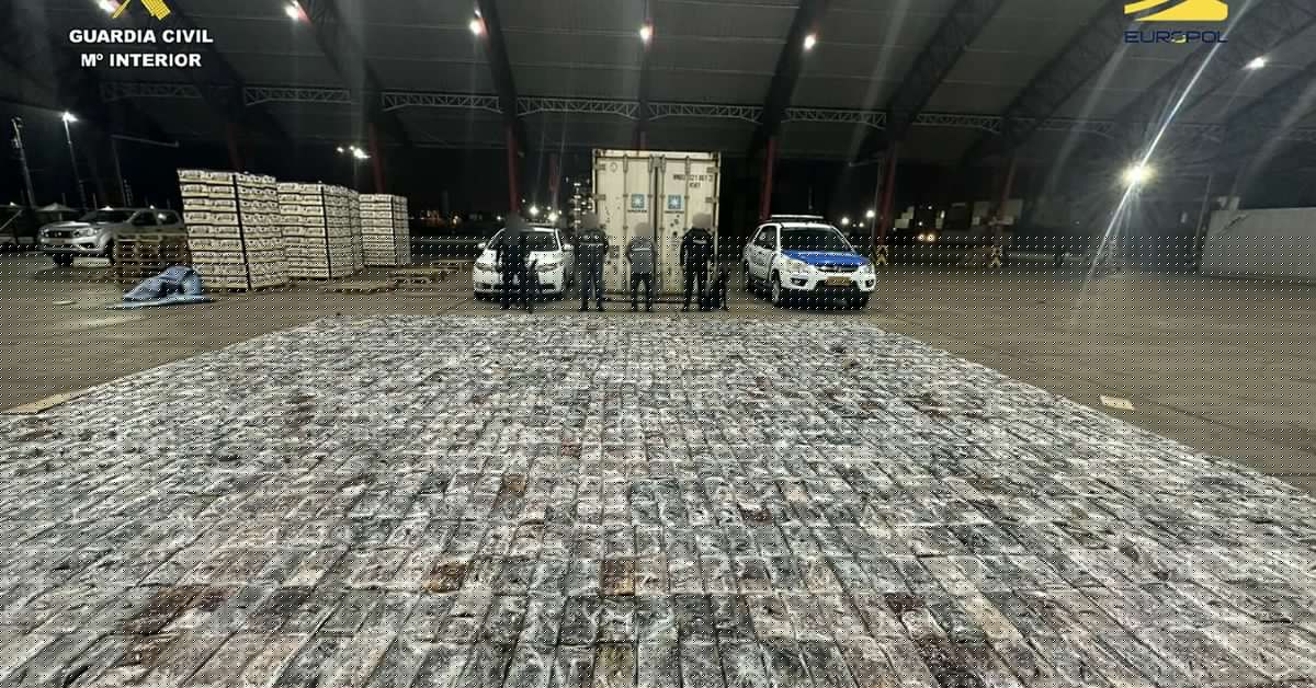 Cae una red con 43 detenidos que introdujo más de 21 toneladas de cocaína desde Ecuador por los puertos de Algeciras, Málaga y Valencia