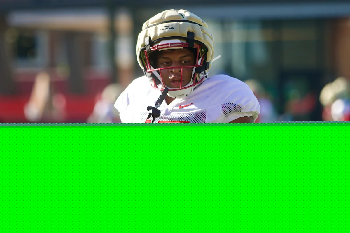 FSU's Nick Williams can't ask for better players at the jack position