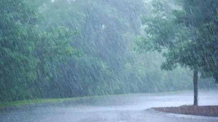 Showers likely till Monday