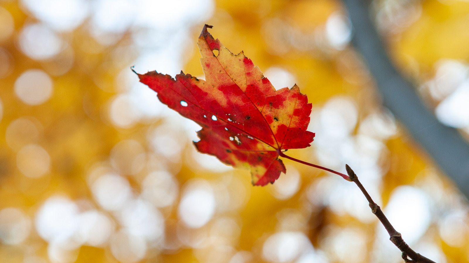 Just Over An Hour From Philadelphia Is A New Jersey Gem With Historic Charm And Vibrant Fall Foliage