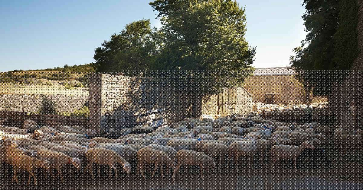 The Causses and the Cévennes, Mediterranean agro-pastoral Cultural Landscape
