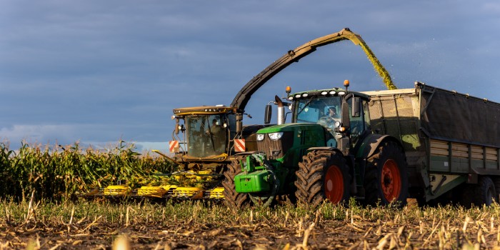 Time To Start Thinking About Corn Silage Harvest