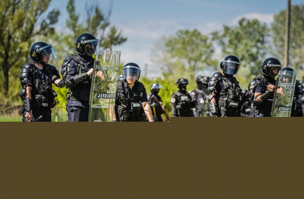 Cei 11 blănoși ai M.A.I. din Bacău au vegheat siguranța la Young Island Festival 2026