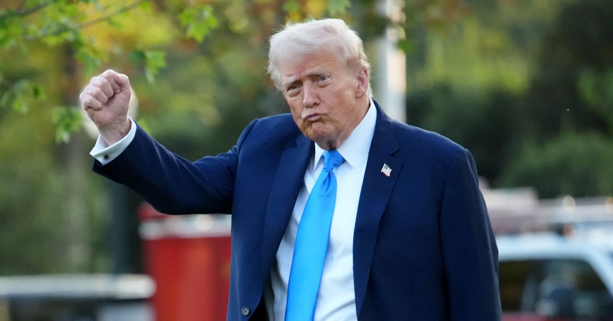 Women told to ignore batty Donald Trump's mad claim paracetamol can cause autism