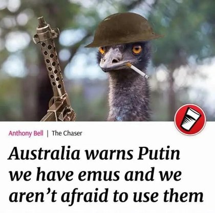 History Memes - It's been 92 bloody years.. They still remind us of their victory.. | History Memes