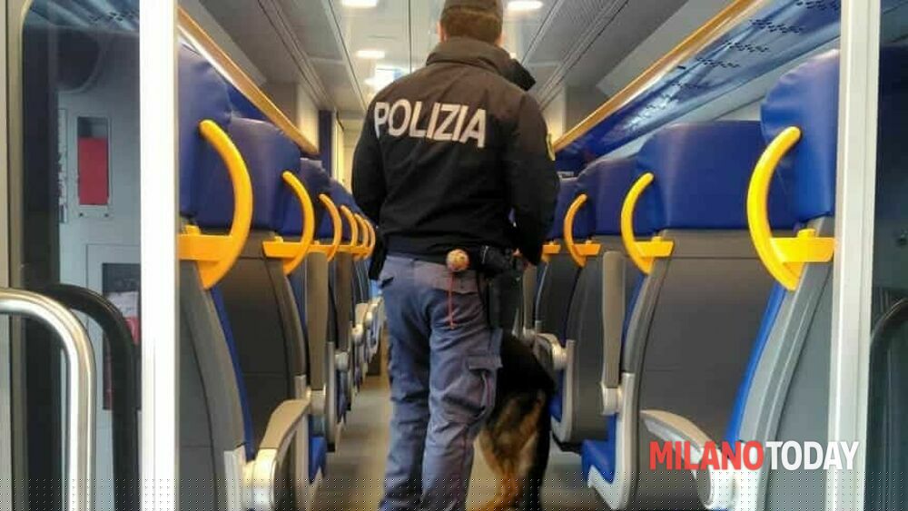 Stupra una donna su un treno Trenord: ragazzo di 22 anni arrestato per violenza sessuale