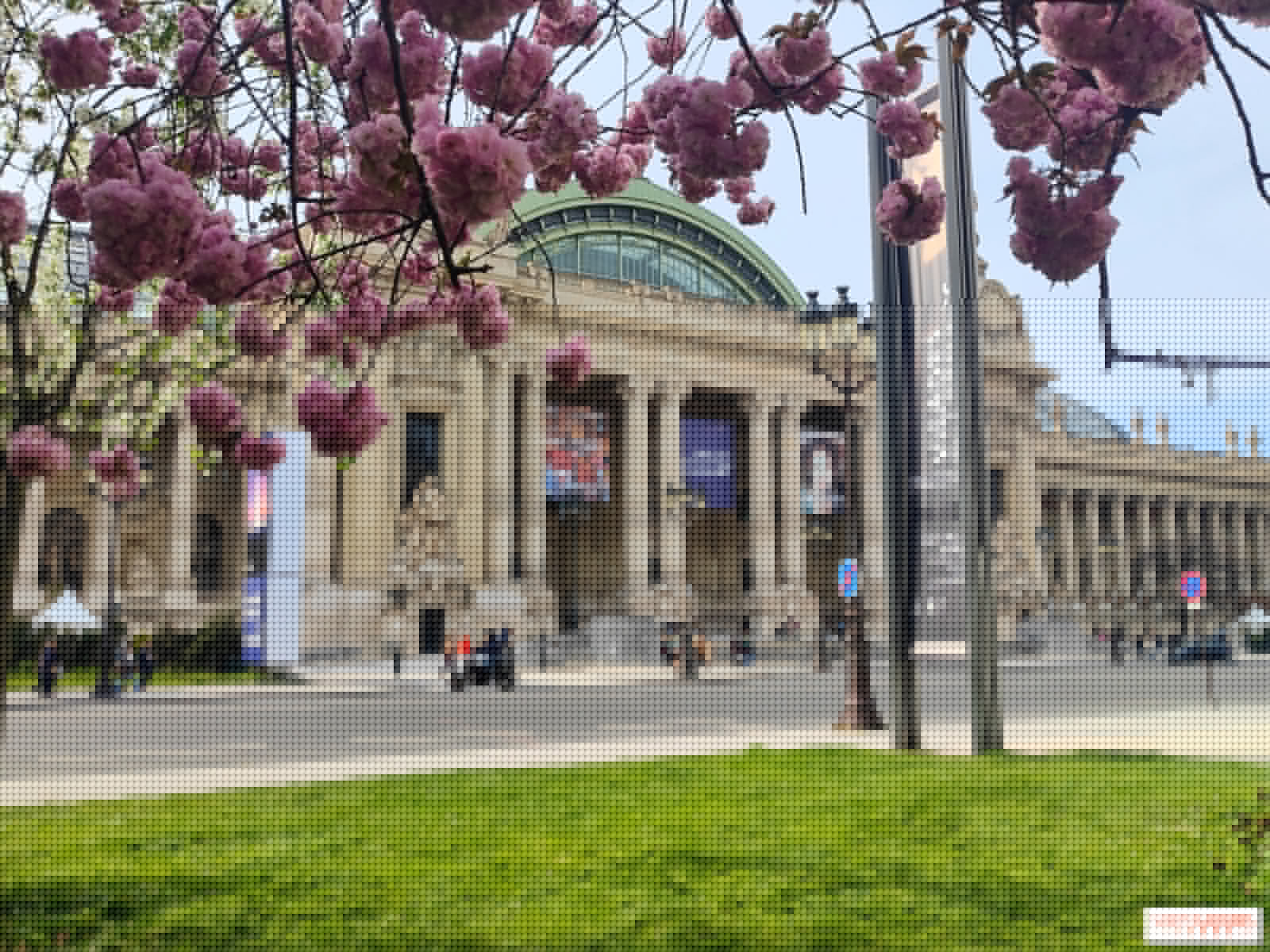 Que faire en août 2026 : les belles expositions de l'été à ne pas manquer à Paris
