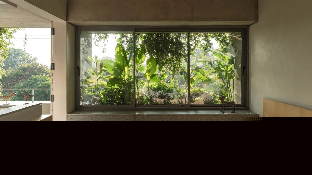 6 best plants for the bedroom that will transform your space into a sleep-friendly haven