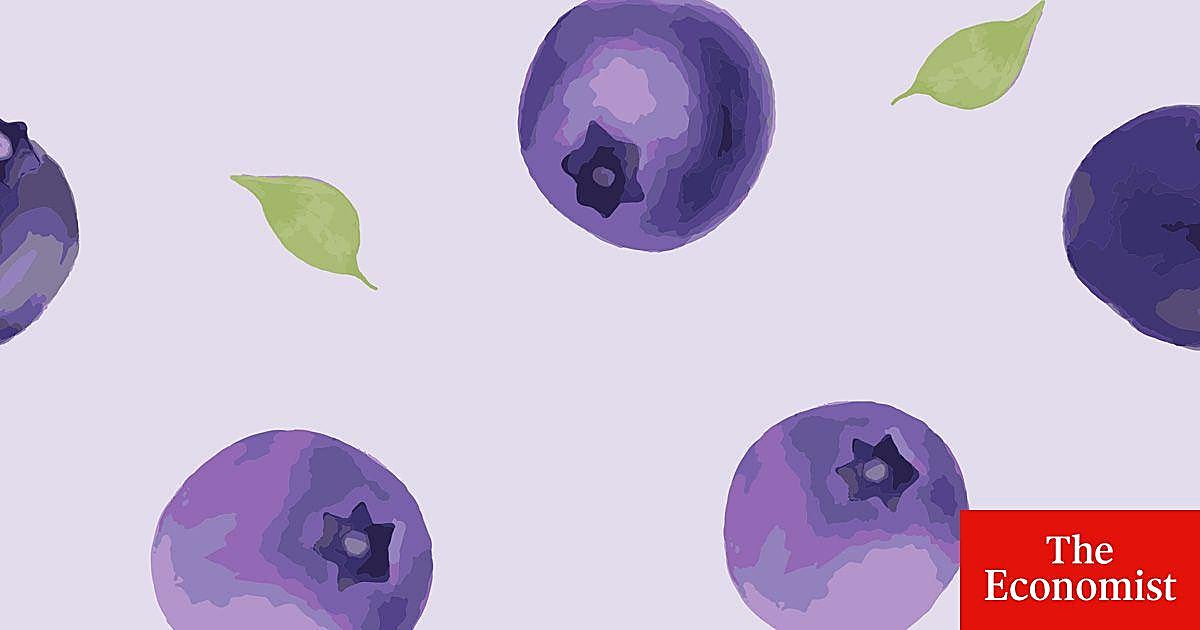 Olvídese del oro y del cobre: el último auge de África se centra en los arándanos y las naranjas